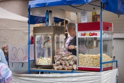 Zažít Roudnici jinak 2020 vol. VII