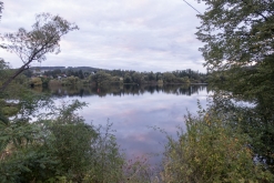 VIRUS + S.P.O.K. FORCE