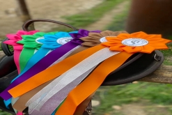 IX. Hubertova jízda Třebívlice