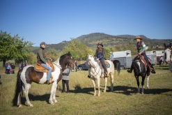 IX. Hubertova jízda Třebívlice