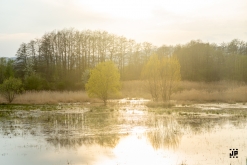 SEWERCZAROTEK 2022 - Kyjice, Ústecký kraj