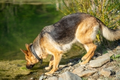 Step Evolution 6 - Rekreační středisko Hadinka, Klokočov