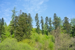 Step Evolution 6 - Rekreační středisko Hadinka, Klokočov