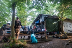 UST vs Spiral Structure