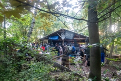 UST vs Spiral Structure