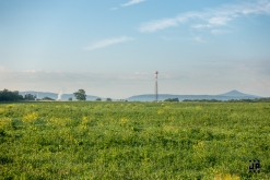 UST vs Spiral Structure