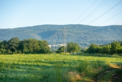 UST vs Spiral Structure