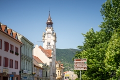 Putování po vinicích Malých Žernosek 2022