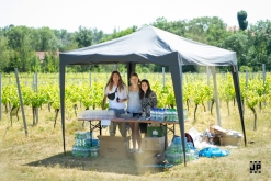 Putování po vinicích Malých Žernosek 2022