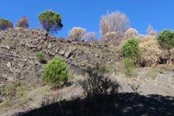sopka Vesuv, Neapol, Kampánie