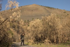 sopka Vesuv, Neapol, Kampánie
