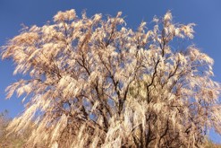 sopka Vesuv, Neapol, Kampánie