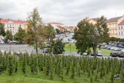 Zažít Roudnici jinak vol. VIII 2022