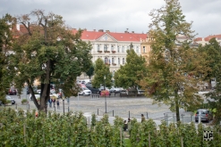 Zažít Roudnici jinak vol. VIII 2022