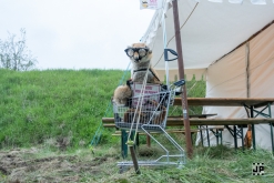 Czarotek 2023: Wottek, WCA, Badtekk, Spectro, Strojobal