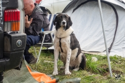 Czarotek 2023: Wottek, WCA, Badtekk, Spectro, Strojobal