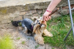 Tomáš Braun: Severní Indie / Jiří Petrák: Kurz (pře)žití v přírodě