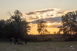 Zoo na vsi! - Comor Teror, Kouzelnej Kolotoč, MHD