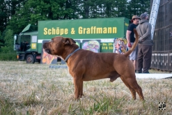 Zoo na vsi! - Comor Teror, Kouzelnej Kolotoč, MHD