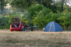 Zoo na vsi! - Comor Teror, Kouzelnej Kolotoč, MHD