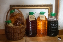 Koonda Holaa - Čajovna - vinotéka bez názvu, Lovosice (22. 6. 2023)