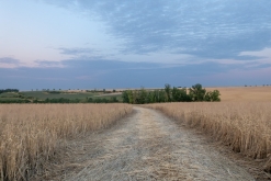 ZlOmVaZ: Lobotomic sound