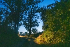 ZlOmVaZ: Lobotomic sound