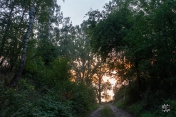 OKTEKK Party (18.-20.8.2023)