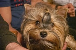 Vystoupení na saxofon s Radimem - Čajovna - vinotéka bez názvu, Lovosice (30.11.2023)