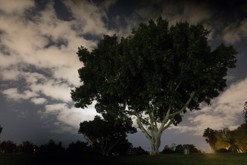 v parku / HaPark HaLeumi, Tel Aviv