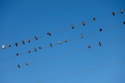 Ranní vstávání v parku / HaPark HaLeumi, Tel Aviv