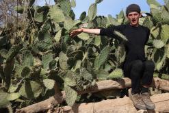 Agádír - listopad 2017