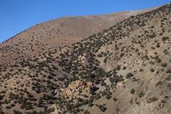 z Skoura pod M´Goun - listopad 2017