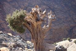 z Skoura pod M´Goun - listopad 2017