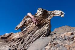 z Skoura pod M´Goun - listopad 2017