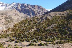 z M´Goun do Beni Mellal, Vysoký Atlas - listopad 2017