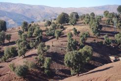 z M´Goun do Beni Mellal, Vysoký Atlas - listopad 2017