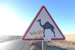 Merzouga - prosinec 2017