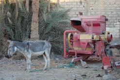 Merzouga - prosinec 2017