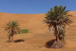 Merzouga - prosinec 2017