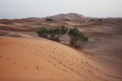 Merzouga - prosinec 2017