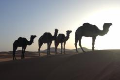 Merzouga - prosinec 2017