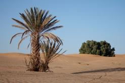 Merzouga - prosinec 2017