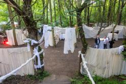 VAN: LESNÍ RAVE I. - Ústí nad Labem (15.6.2024)