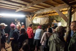 VAN: LESNÍ RAVE I. - Ústí nad Labem (15.6.2024)