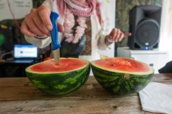 VAN: LESNÍ RAVE I. - Ústí nad Labem (15.6.2024)