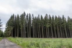 Floorless vol.1 - 14.6.2024