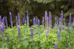 Floorless vol.1 - 14.6.2024