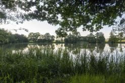 RAVE PARTY - 22.6.2024