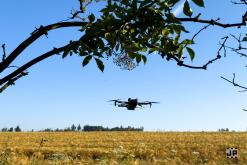 Tribal Ritual II (2024)